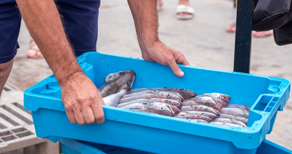 Fahaheel’s Unique Rhythm: Where the Sea Meets Souk